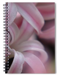 Pink Hyacinth Spiral Notebook
