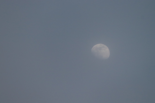 Hazy Moon
