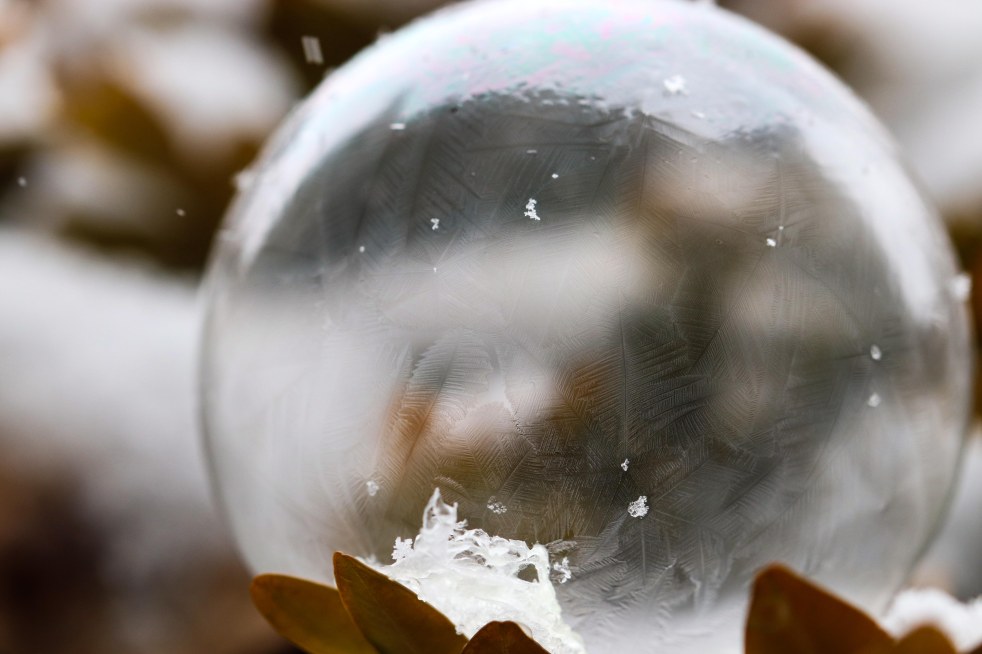 Frozen Bubble In The Snow